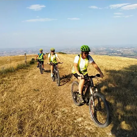 别墅 Manor In Marche With Pool Near Adriatic *