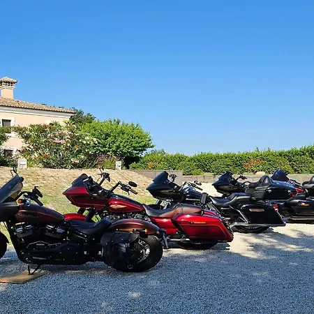 Manor In Marche With Pool Near Adriatic * 摩萨诺